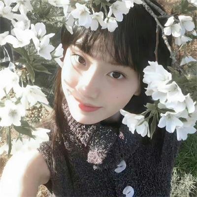 社群谜网